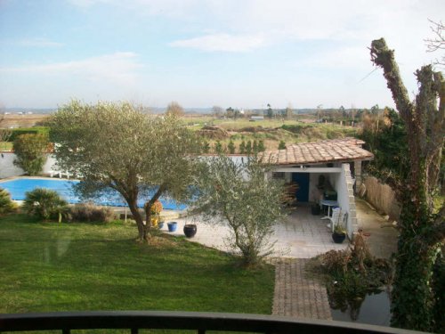 TOULOUSAINE A CUGNAUX (Haute Garonne)