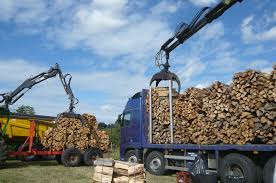 Bois de chauffage