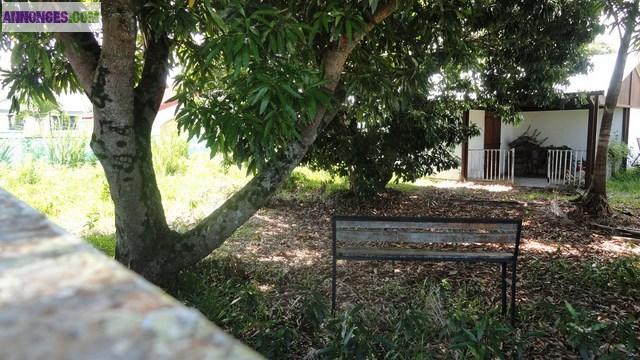 VILLA F3 BOURBON BOIS AVEC VARANGUE SUR 526 M²