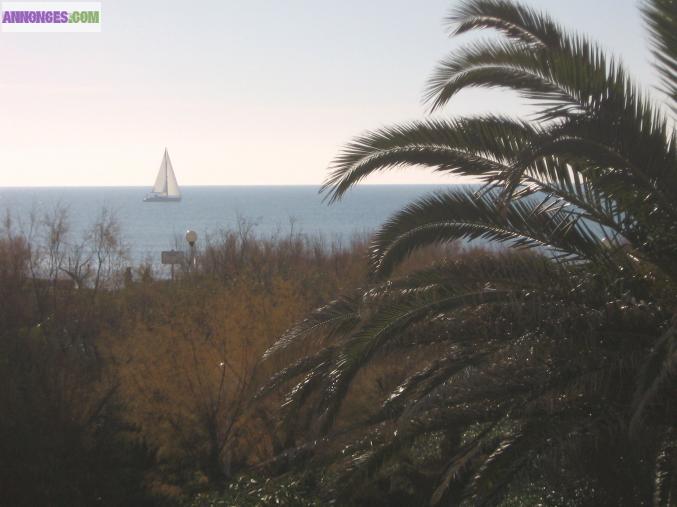 Vacances à LA GRANDE MOTTE