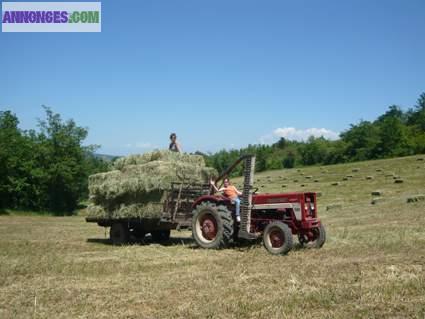 Vend fopin et paille