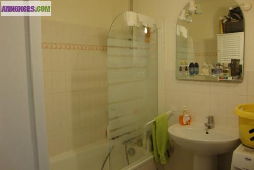 Bel Appartement F2 -49 M2