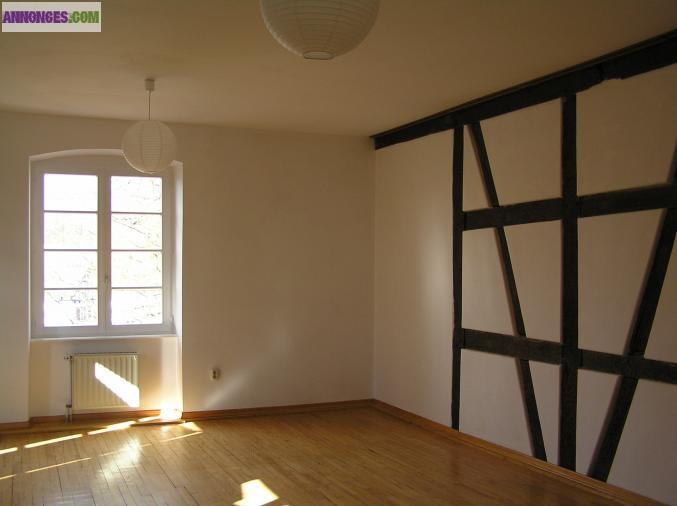 Spacieux F3-F4 de 120 M2  remis à neuf