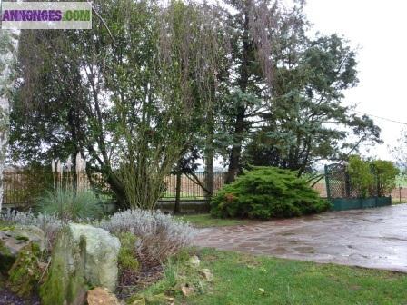 A Louer BEAU PAVILLON