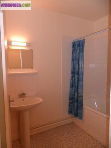 Proche centre ville ancenis loue T1 bis de 41 M2