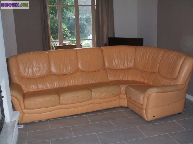 Salon d'angle cuir pleine fleur