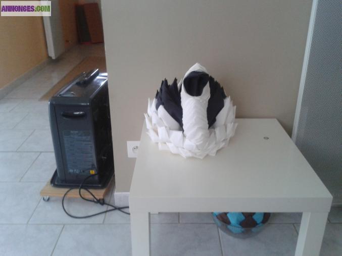 DISTRIBUTEUR SERVIETTES