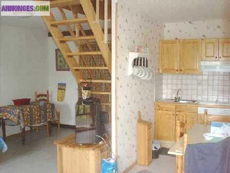 Appartement 6 pers ou studio 4 pers VALLOUISE