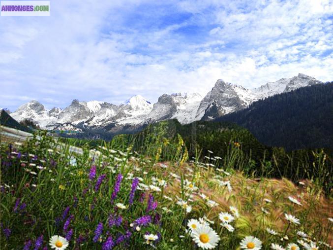 Superbe terrain de 801 m2 au Grand-Bornand