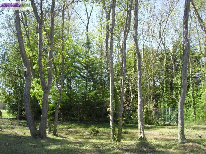 Terrain a bâtir ile d'oléron