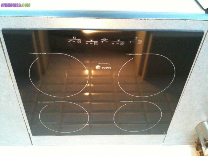 Plaque induction Fagor