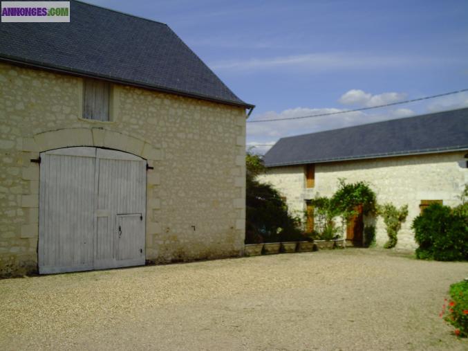 Ancienne ferme du XV111è, 2 habitations rénovées