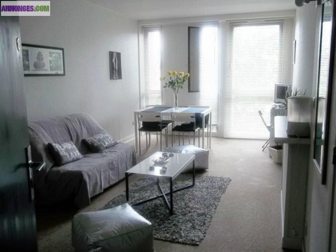 STUDIO T1 BIS PLEIN CENTRE TOULOUSE TRES SPACIEUX