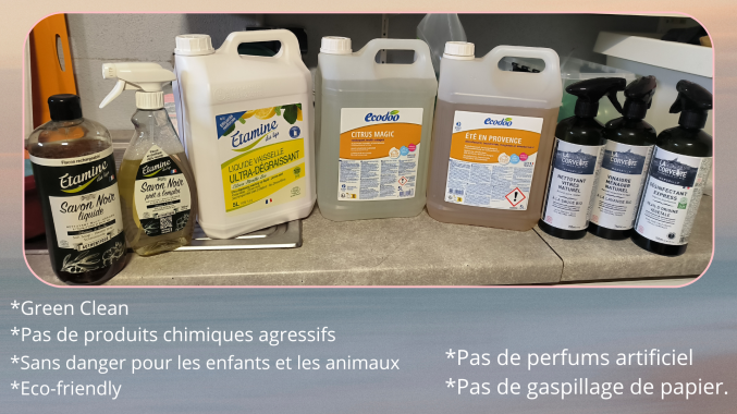 Femme de Mènage Pro