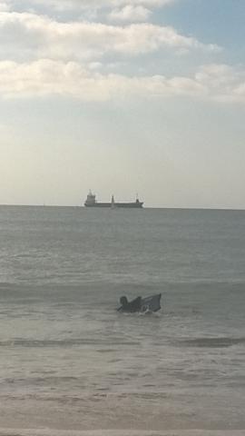 Recherche femelle Chihuahua à poils longs maxi 700e