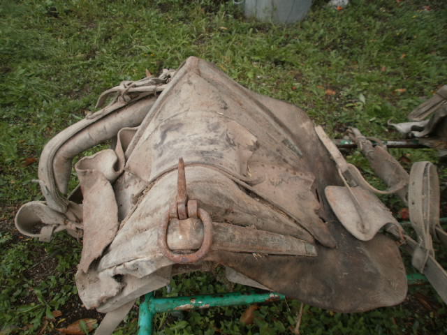 Collier +selle de chevaux