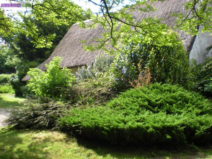 Chaumières sur 8000m²