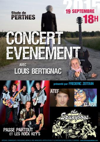 Festival Concerts Événement de Perthes en Gatinais