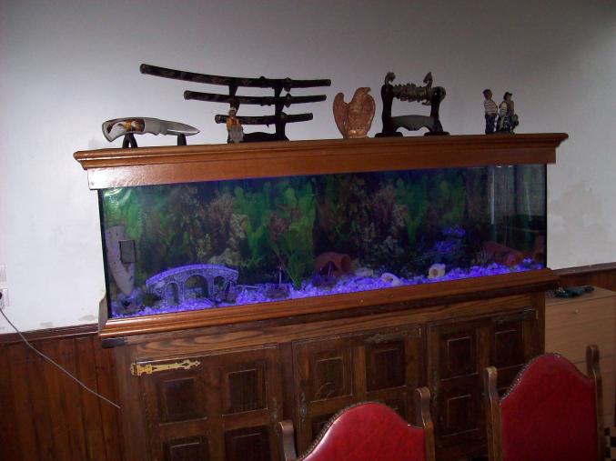 Aquarium 600l