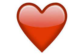 Demande de dons de chatons