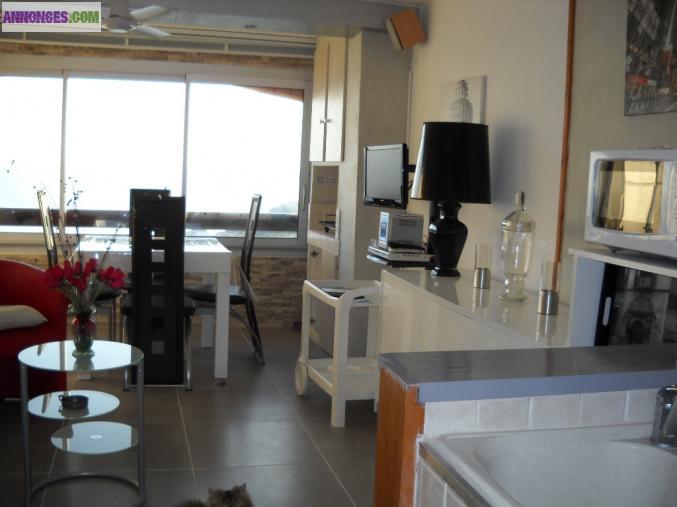 LOCATION DE VACANCES PORT-VENDRES