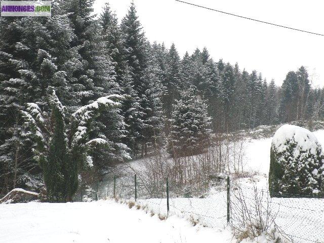 La Maison de vacances en altitude au coeur de la Forêt