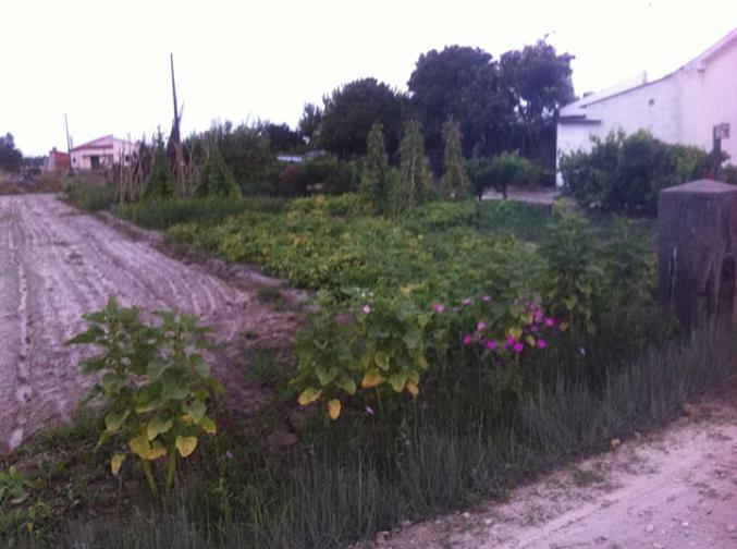 Vends terrain constructible au Portugal