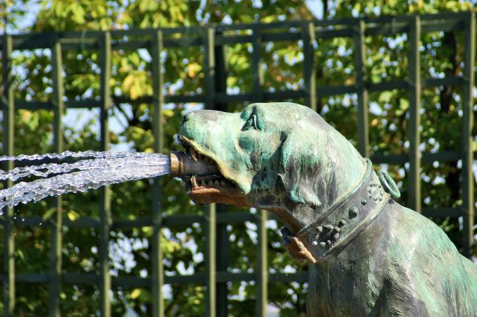 Parrainage, grands parents de coeur sur le 78