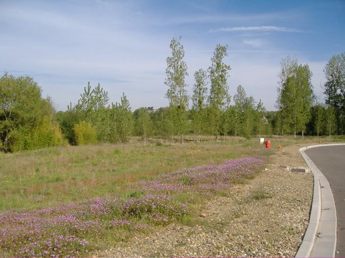 Terrain constructible