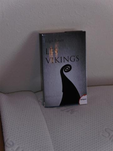 Les vikings