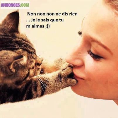 Garde chat sur Bordeaux