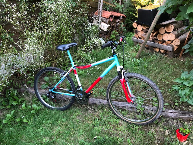 Velo robuste pour balade