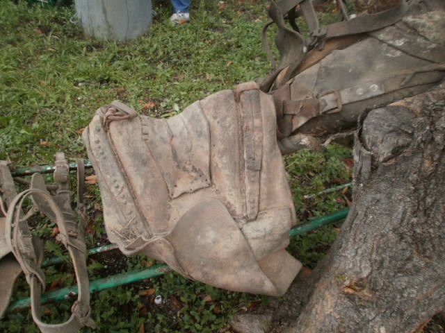 Collier +selle de chevaux