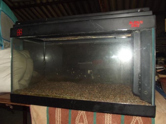 Aquarium+accessoire