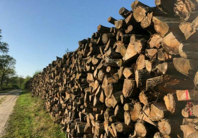 Bois de chauffage sec de 2 ANS MINIMUM