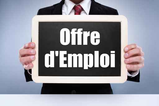 Agent/Agente d'entretien / Aide ménagère) (H/F)