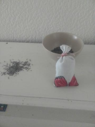 Aux pays de la lavande 