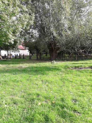 TERRAIN  A BATIR ET TERRAIN DE LOISIRS