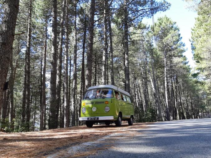 Location Combi / Fiat 500