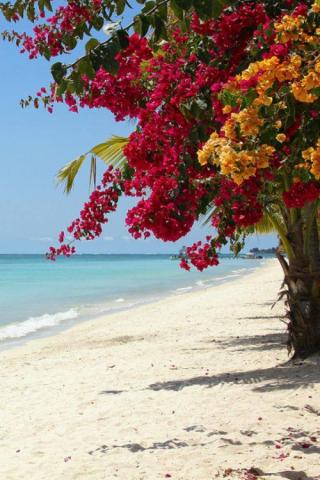 Rech fauteuils de cinéma