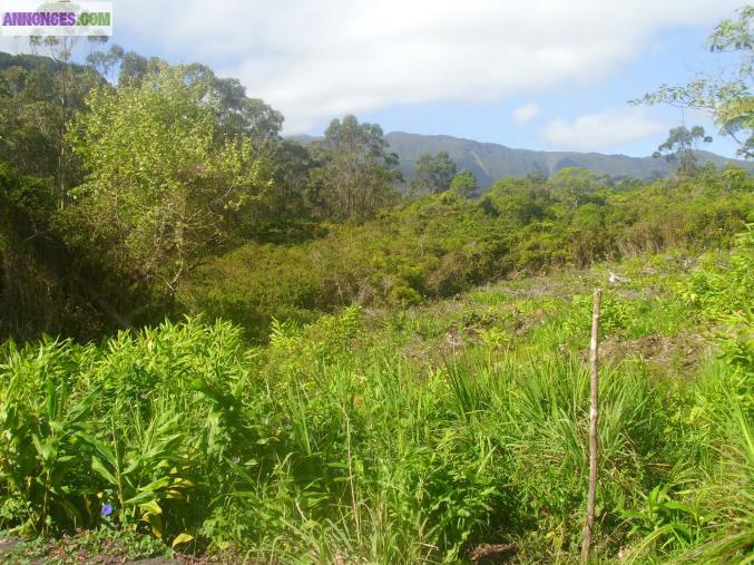 PARCELLE DE TERRAIN A BÂTIR DE 618 M²