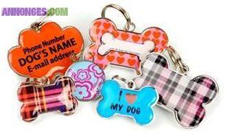 Médailles pour chiens et chats - médaille chien chat medal