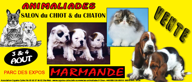 Salont du chiot et du chaton 3 et 4 Aout Marmande