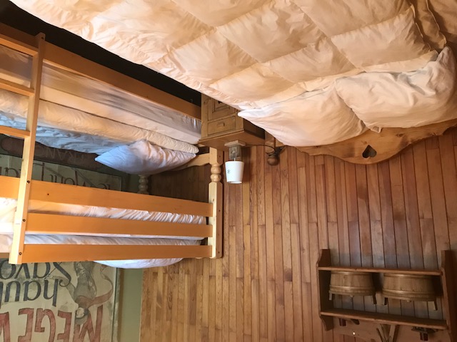 APPT 47M2 5 PERS CENTRE CHATEL PIED PISTES ET RM