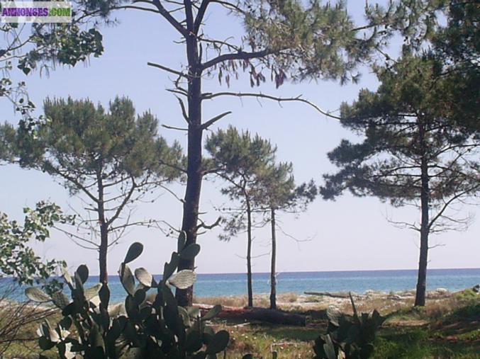 Vacances " pieds dans l'eau "