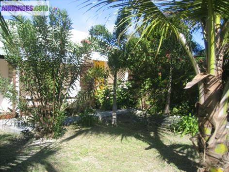 BUNGALOWS A LA POINTE DES CHATEAUX A ST FRANCOIS