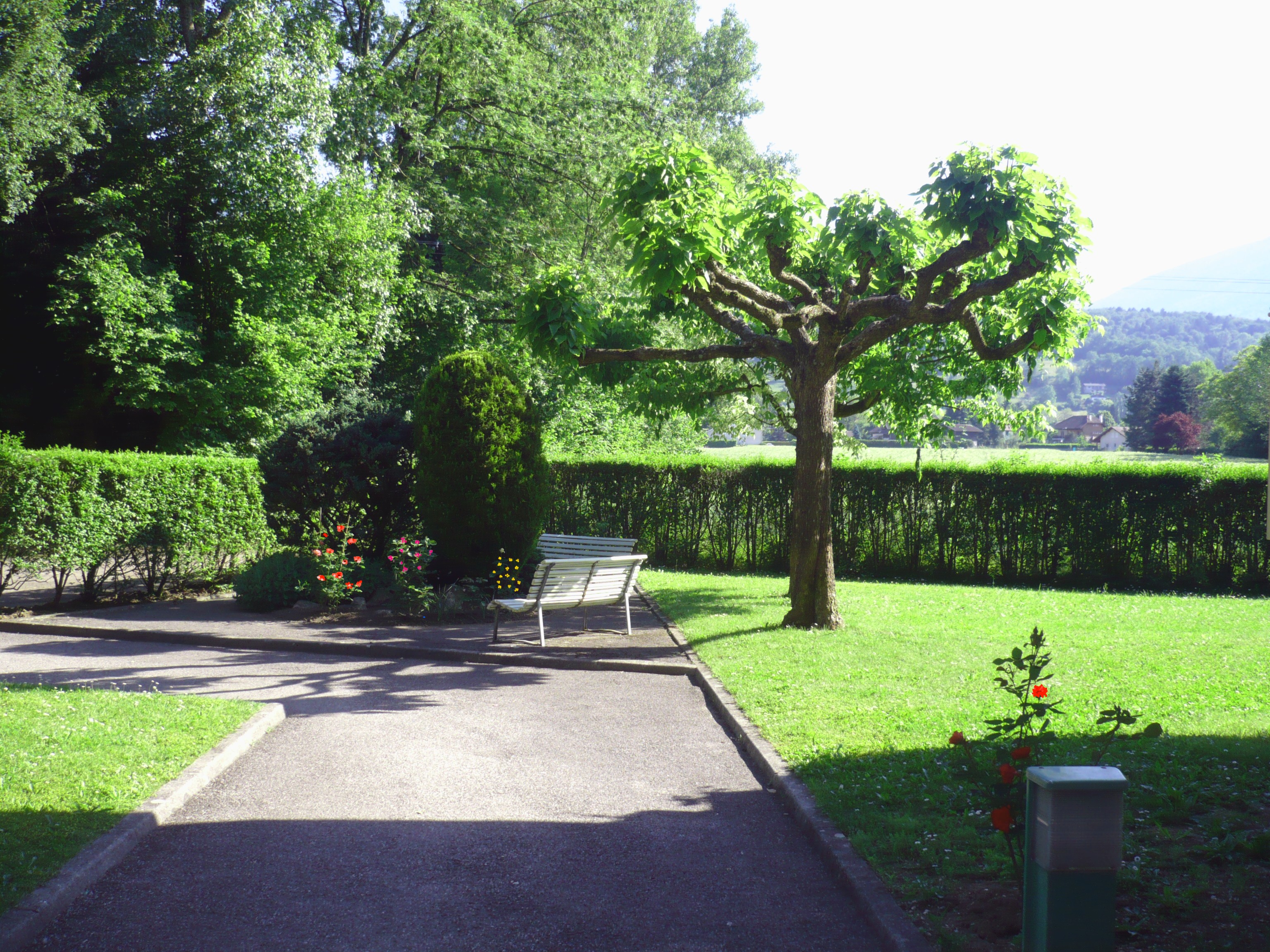 Vente T3 Saint Jorioz