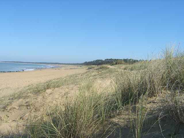 ILE D'OLERON 500mplage
