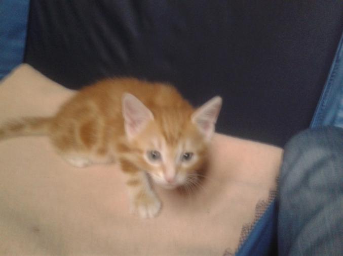 Donne contre bons soins