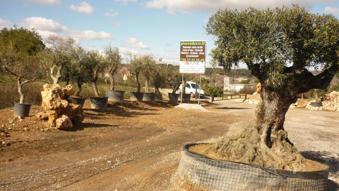 Pierre de taille et rocher fontaine 